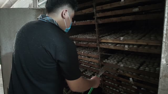 Duck Egg Incubation Room