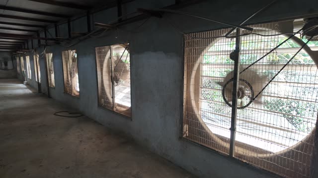 Chicken Farm Feed Storage