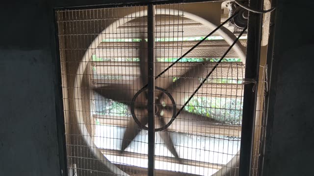 Inside A Chicken Farm Coop