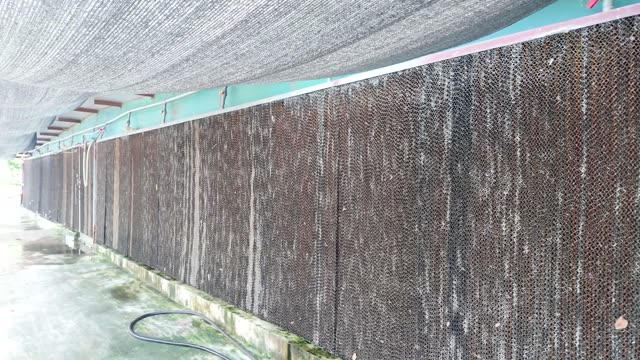 Inside A Chicken Farm Coop