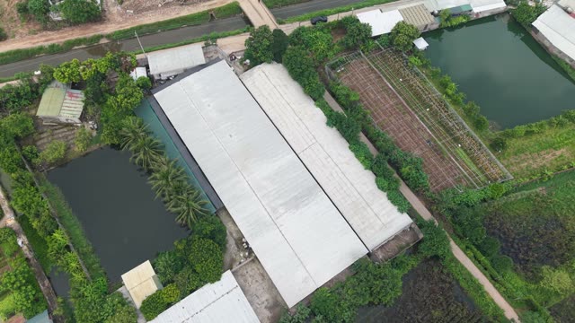Aerial View Of A Chicken Farm