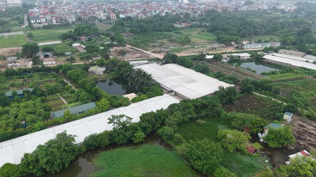 Aerial View Of A Chicken Farm