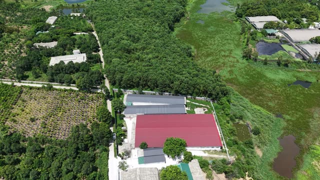 Farm Barns Beside Wetland