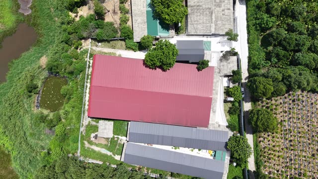 Red Barn Among Orchards