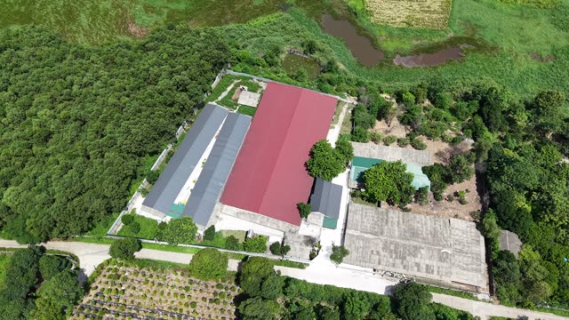 Barns Surrounded By Forest