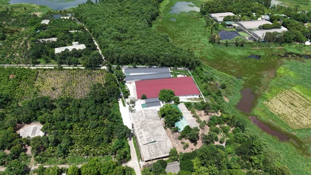 Farm Complex Among Greenery