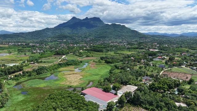 Wetlands Below The Mountain