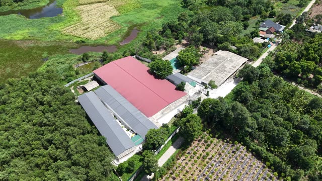 Red-Roofed Farm Complex