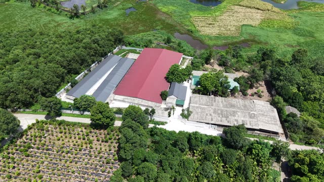 Countryside Livestock Farm