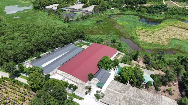 Farm Complex By Wetlands
