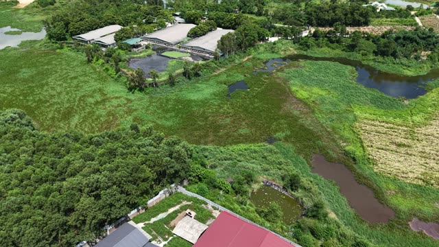 Green Wetland And Ponds
