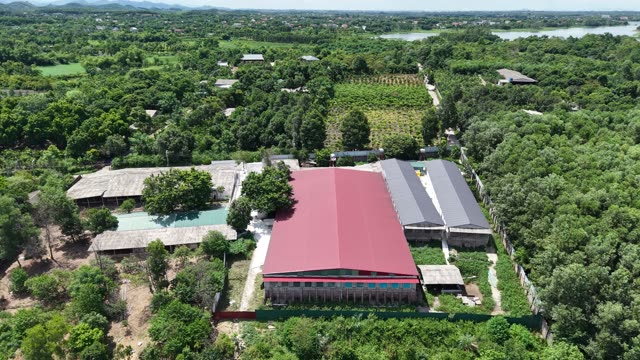 Large Red-Roofed Farm