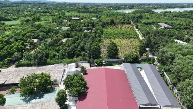 Farm Buildings And Orchard