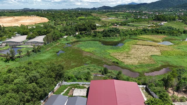 Wetland Fields And Hills