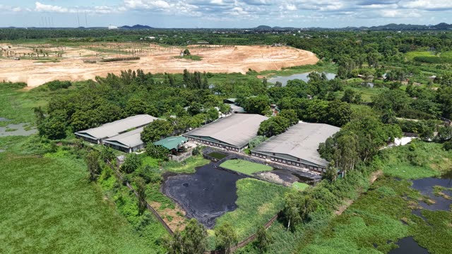 Livestock Sheds And Pond