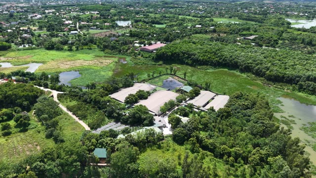 Farm Amid Green Wetland