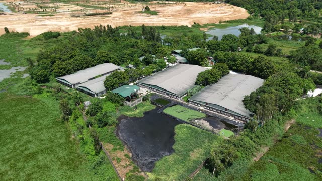 Livestock Sheds And Waste Pond