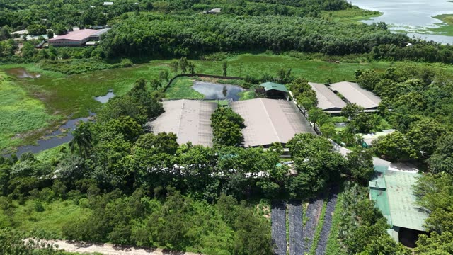 Aerial Pig Farm Complex
