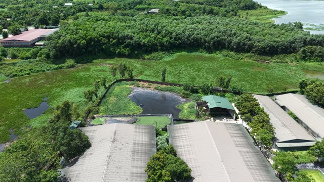 Farm Barns Among Wetlands