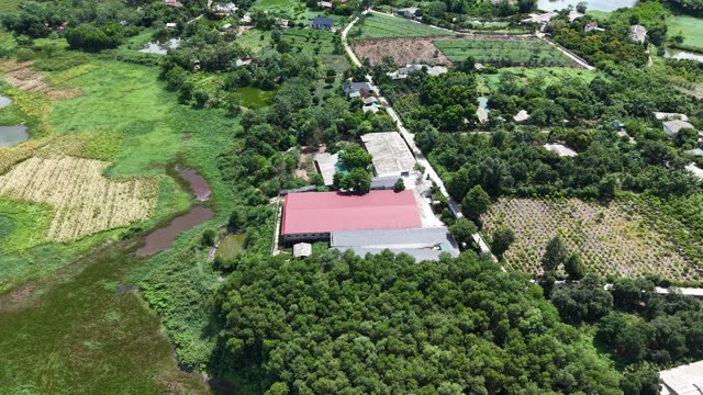 Rural Farm And Plantations