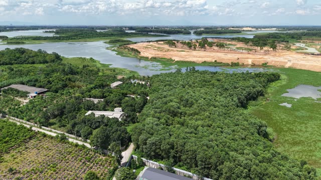 River Delta Green Countryside