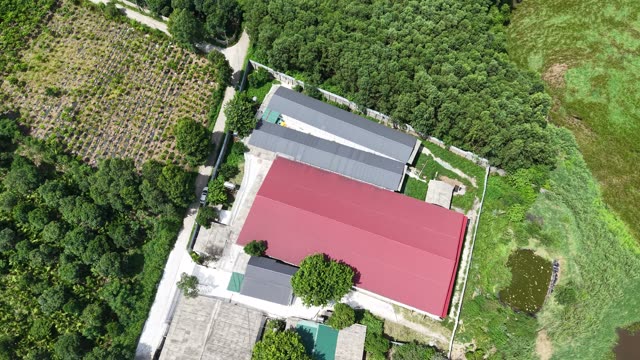 Farm Barns And Orchard