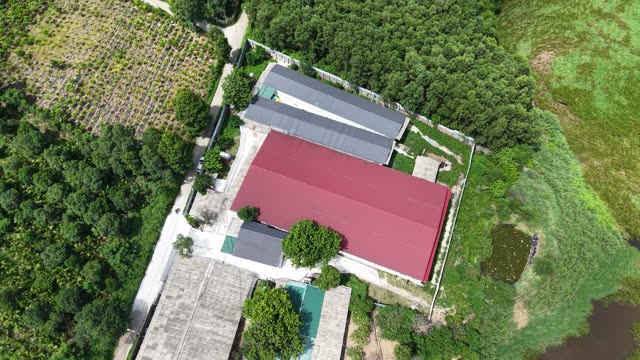 Farm Complex And Green Countryside