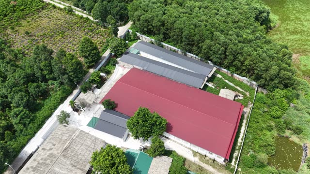 Red Roof Barn In Forest