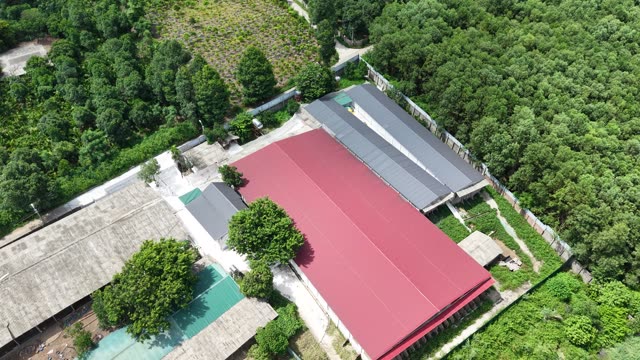 Farm Buildings Amid Green Trees