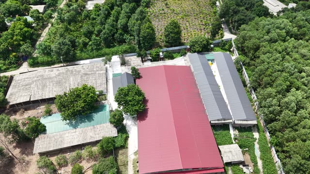 Farm Rooftops And Orchards