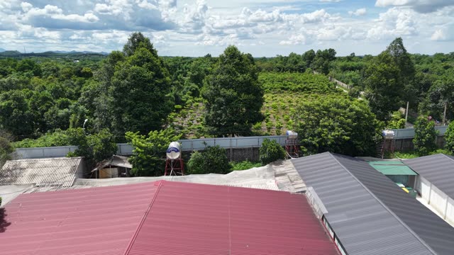 Barn Roofs By Plantation