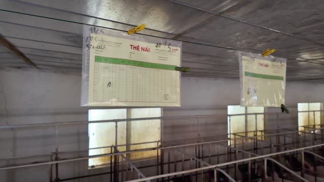 Sow Record Cards In Barn