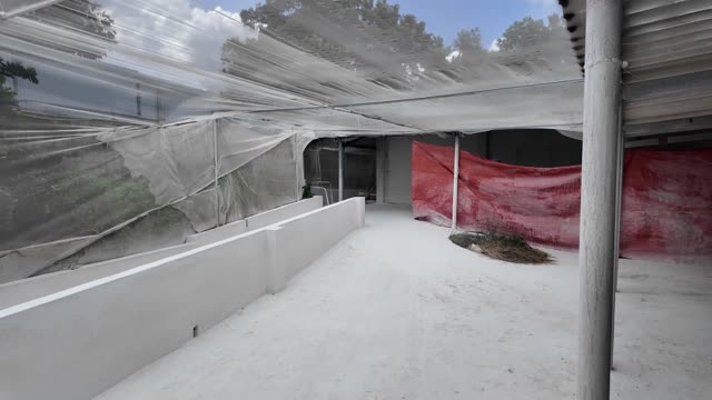 Netted Outdoor Farm Enclosure