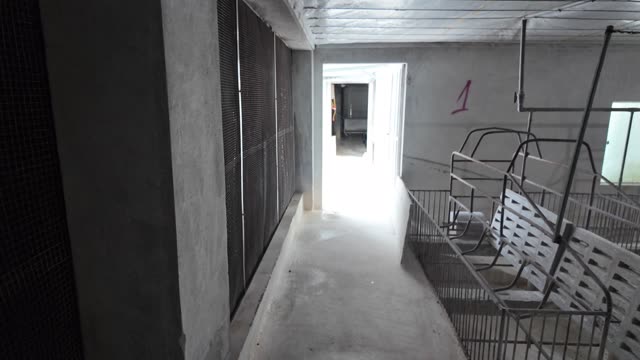 Pig Barn Corridor Interior