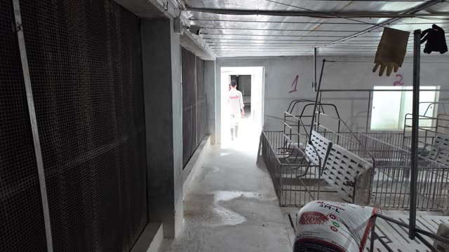 Worker Down Barn Corridor