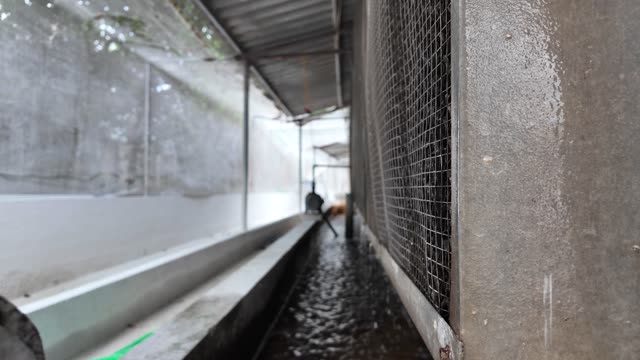 Barn Cooling Pad Corridor