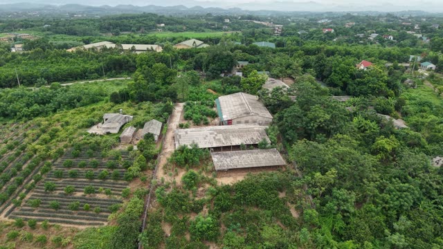 Hillside Chicken Farm — Shot 1