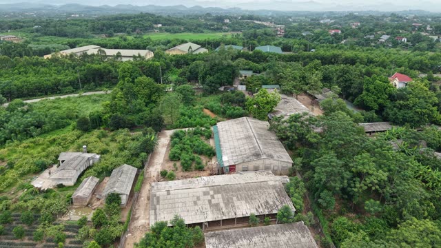 Hillside Chicken Farm — Shot 2