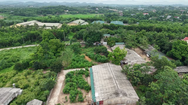 Hillside Chicken Farm 