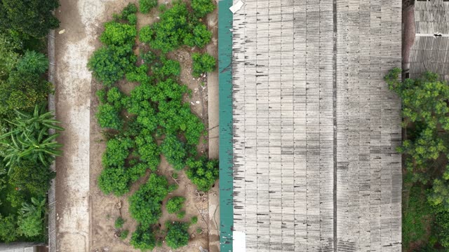 Chicken Farm Among Orchards — Shot 1