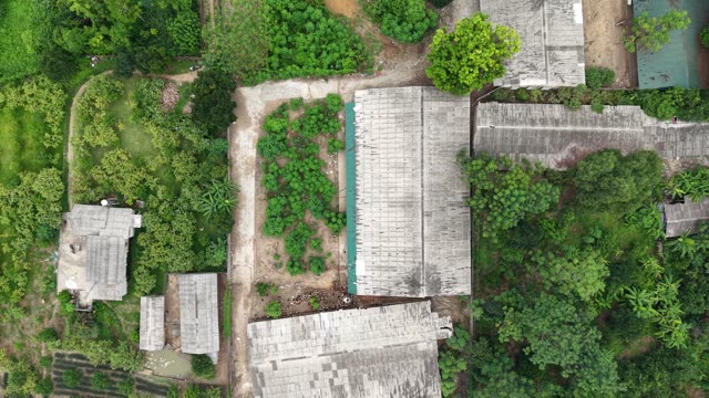 Chicken Farm Among Orchards