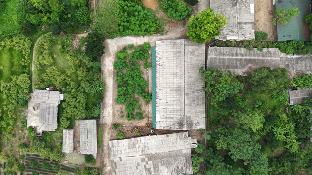 Free-Range Chicken Coop — Shot 2