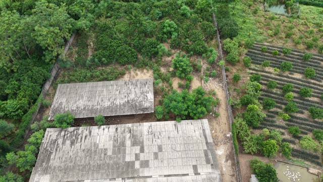 Poultry Farm On The Hill — Shot 3