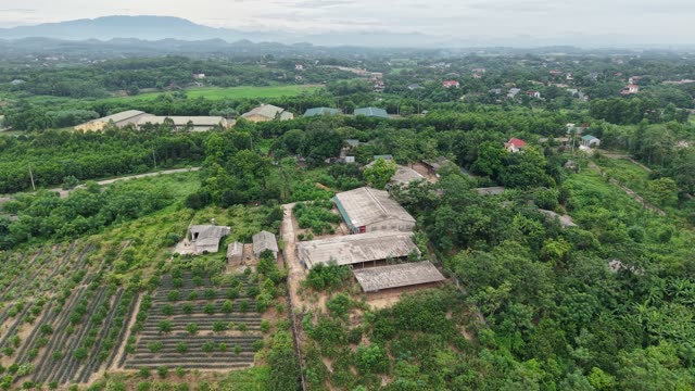 Chicken Sheds In The Hills — Shot 3
