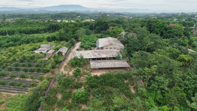 Rural Poultry Farm — Shot 1