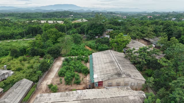 Rural Poultry Farm — Shot 2