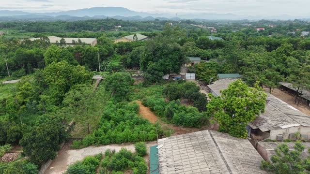 Rural Poultry Farm — Shot 3