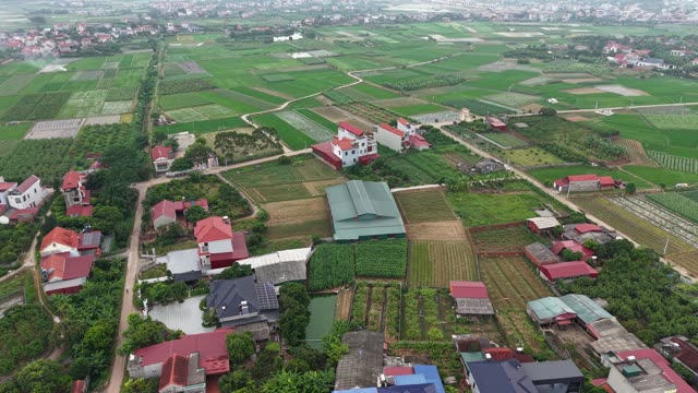 Rural Farm Among Vegetable Plots — Shot 1
