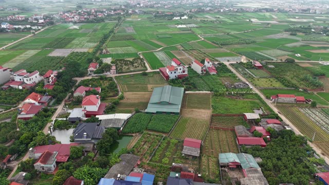 Rural Farm Among Vegetable Plots — Shot 2