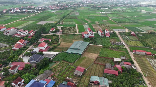 Rural Farm Among Vegetable Plots — Shot 3